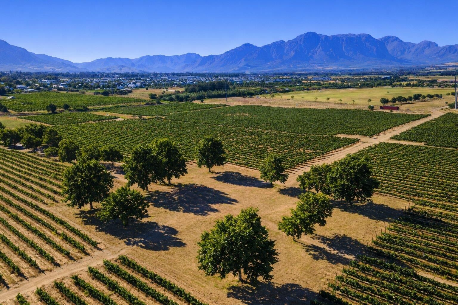 Farm For Sale in Val de Vie Estate — 3