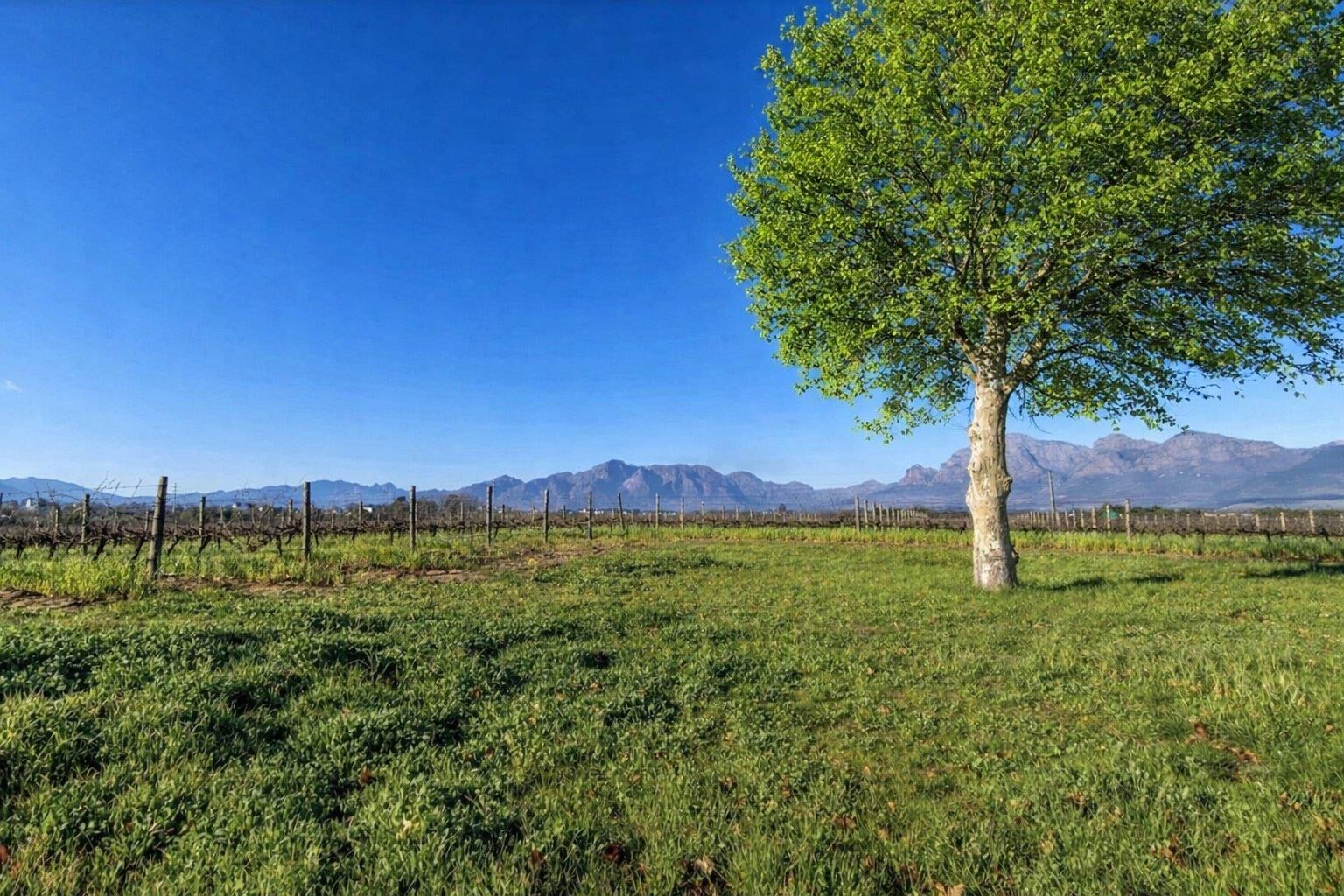 Farm For Sale in Val de Vie Estate — 4