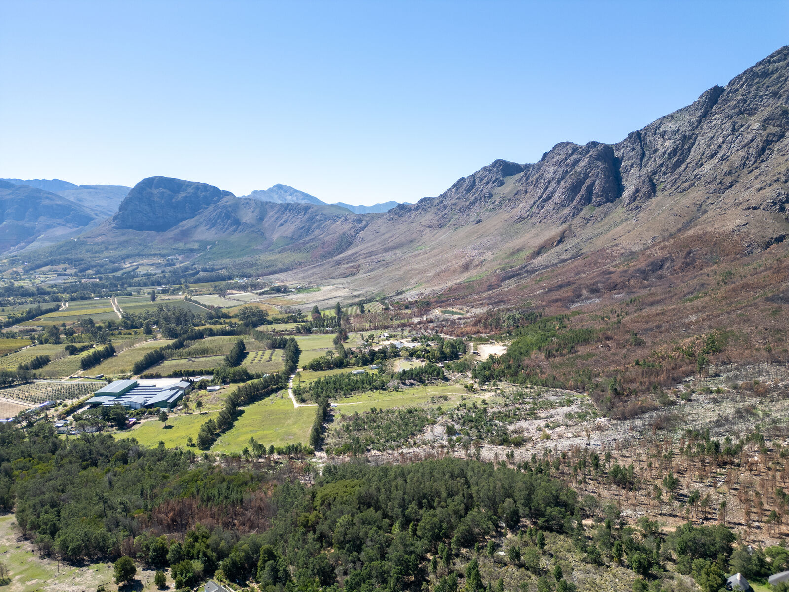 59Ha Farm For Sale in Franschhoek