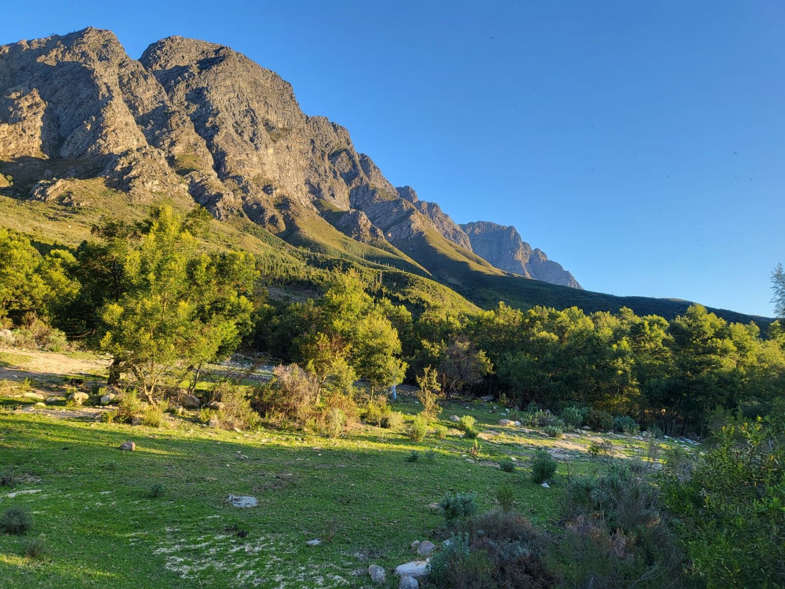 59Ha Farm For Sale in Franschhoek — 12
